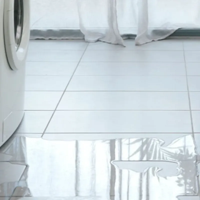 Appliance Leak Cleanup in Dixmoor, IL