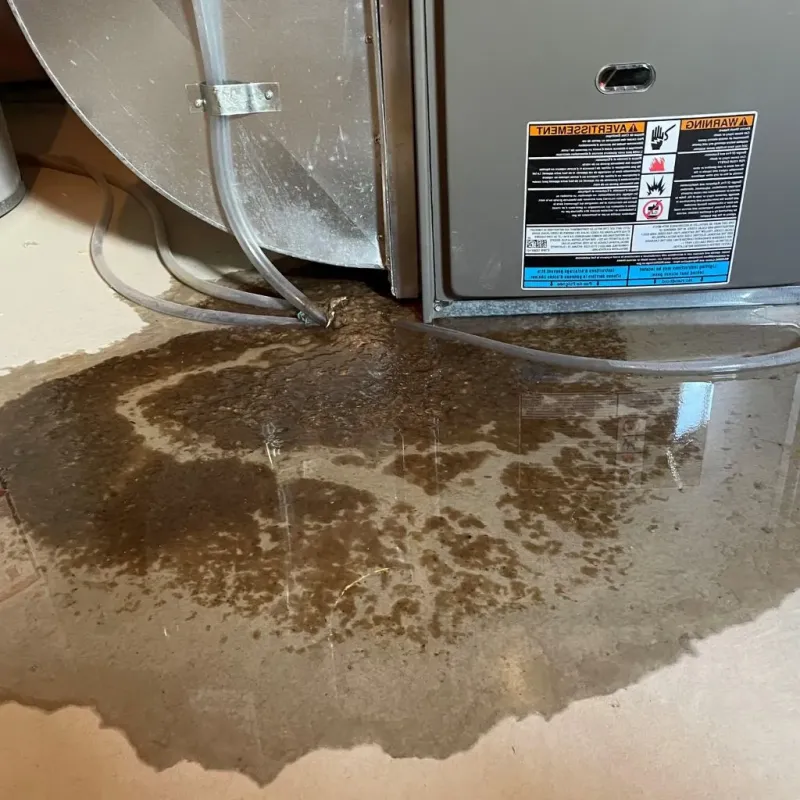 Pipe Burst and Leak Restoration in Dixmoor, IL