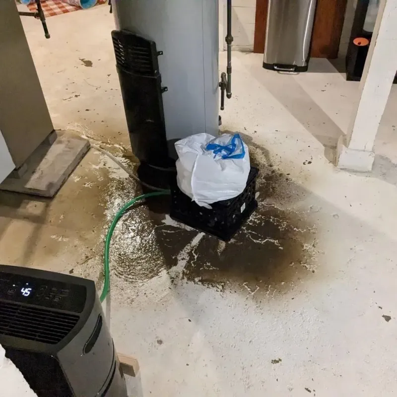 Sewage Backup Cleanup Service in Dixmoor, IL